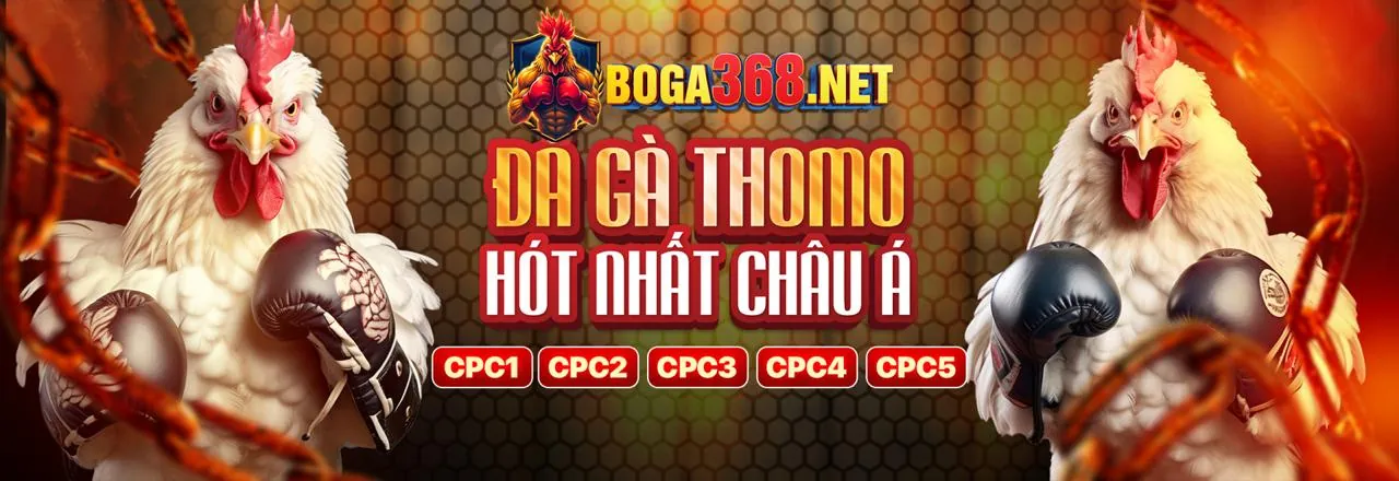 Hình ảnh đại diện Tuân thủ GDPR của bl55, minh họa bảo vệ dữ liệu
