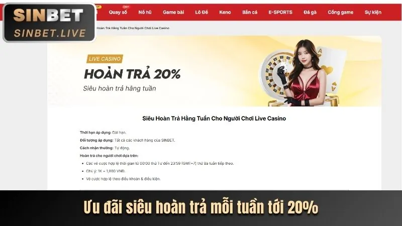 Hoàn trả tiền cược bl55